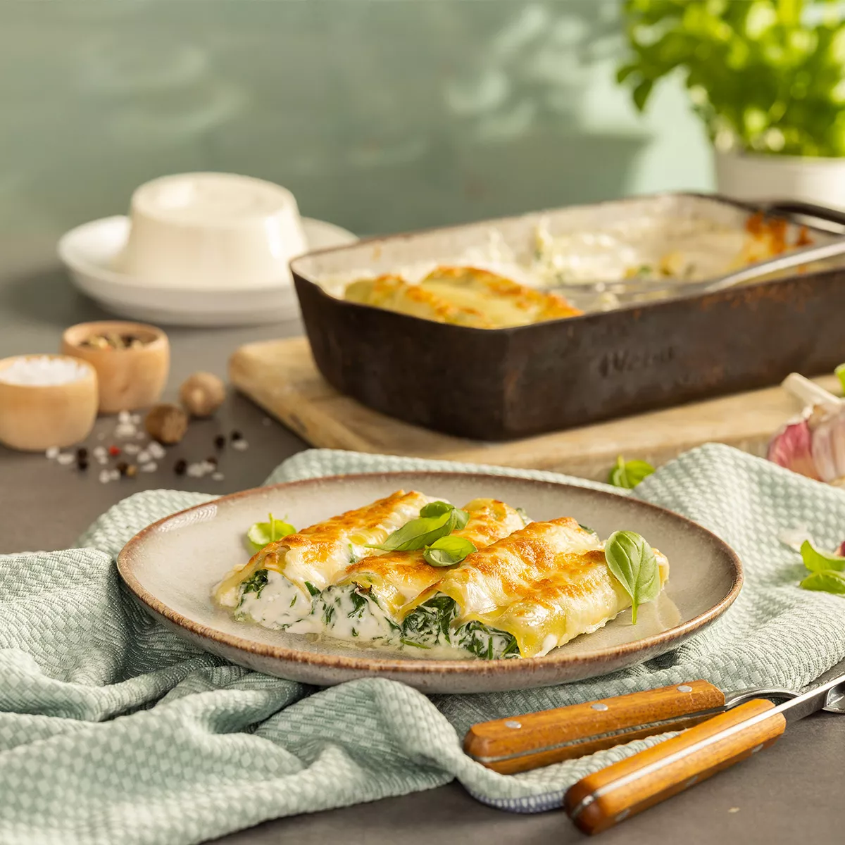 Cannelloni mit Spinat und Ricotta